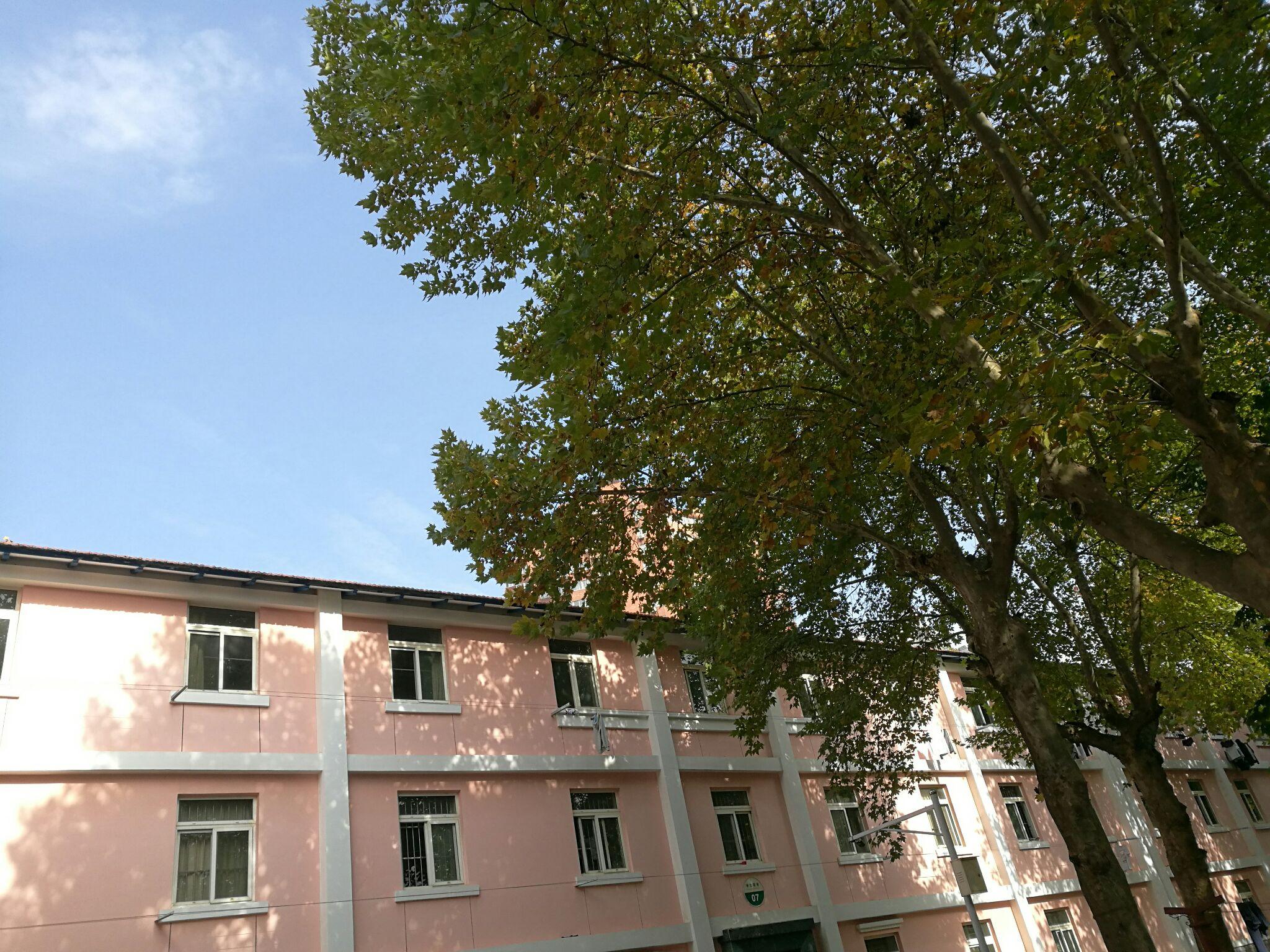 跟我讲讲你高考之前奋斗的故事吧 和你现在对