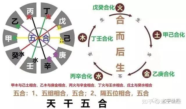 丁壬合化木,主仁寿之合.丙辛合化水,主威严之合.乙庚合化金,主仁义之