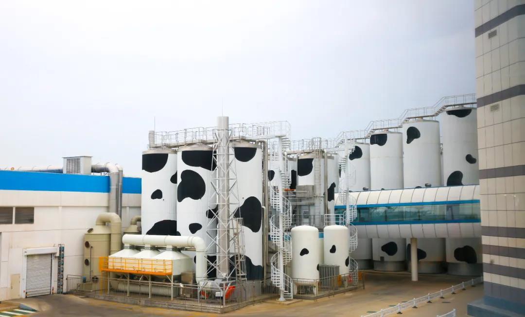 走进蒙牛亲证一杯牛奶所蕴含的科技力量