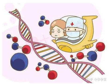 当代女性的生育新选择：杭州供卵代怀服务
