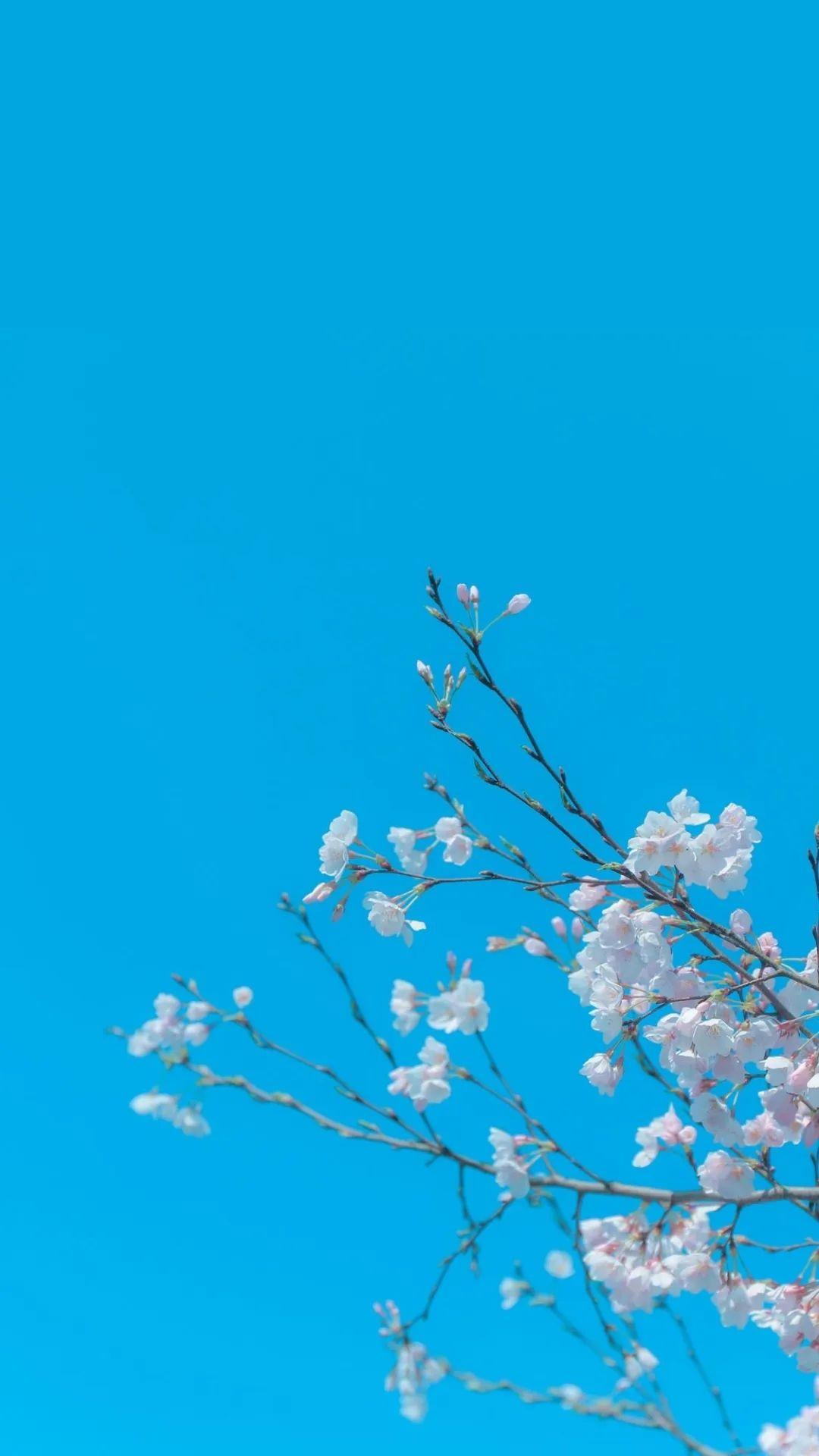有没有适合做背景的 无水印 简约 的图片?