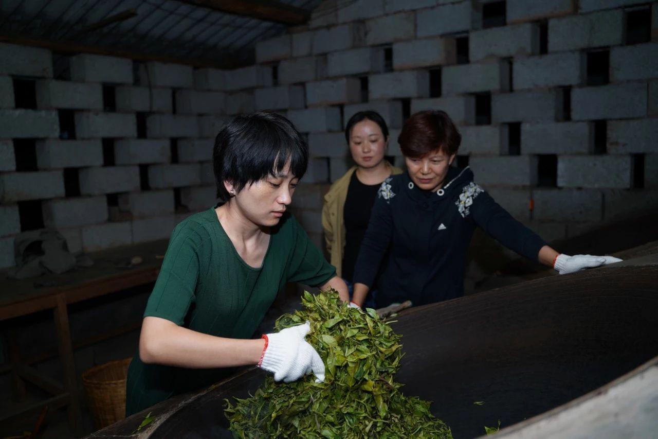 对于普洱茶生茶的初制,什么样的杀青方式才是正确的?