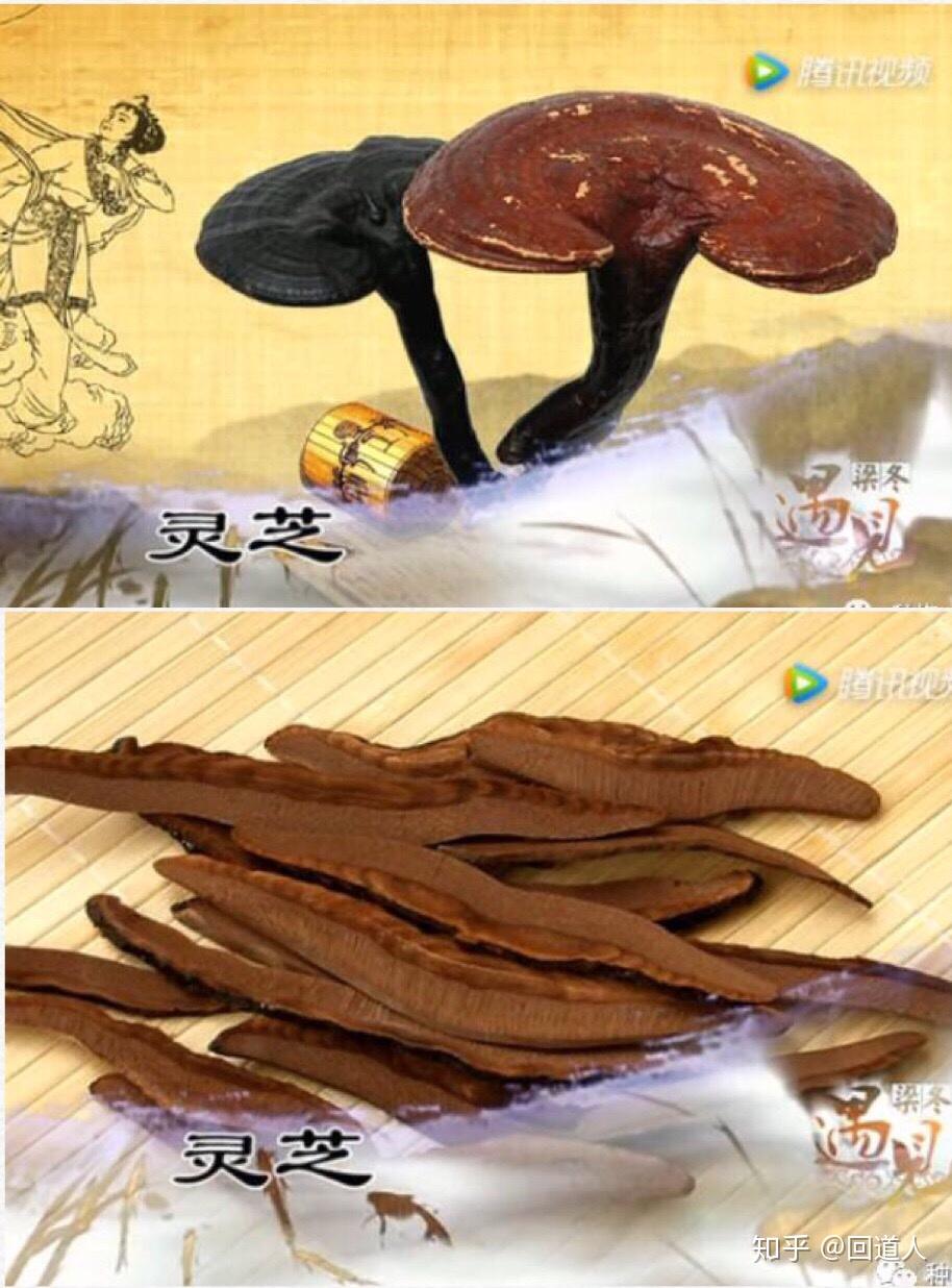 张至顺道长的三个绝方