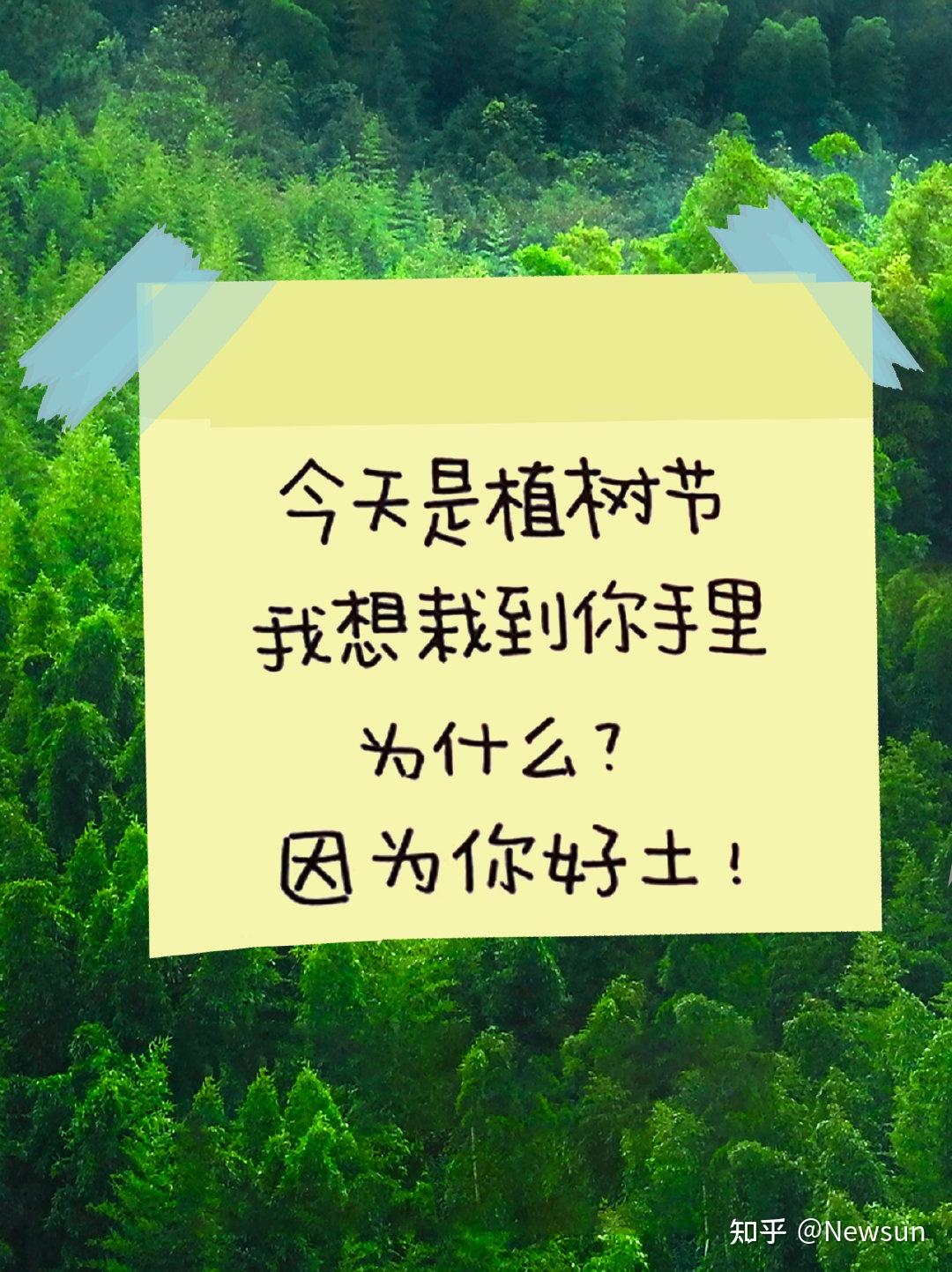 植樹節文案附手寫字