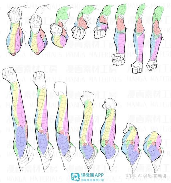 手臂肌肉画法教程 手臂的绘画方法详解 胳膊的简笔画 纯吉网