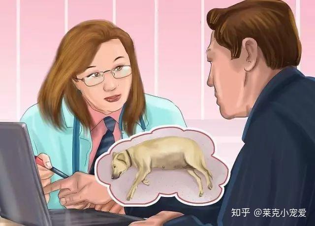 梦的隐喻，我怀孕时梦到老公与别的女人生子——解析梦境中的情感与生命新篇章