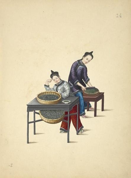 养蚕缫丝与棉布生产图附慈禧宫廷丝织业纪实御香缥缈录节选与德龄公主