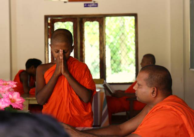 想要做一个斯里兰卡国际志愿者,怎么申请?