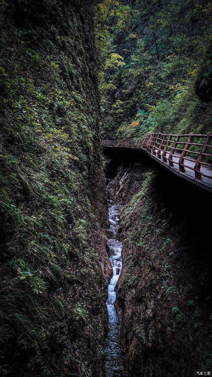 一人一唐,自驾洛南金丝峡,瞰五彩斑斓深秋神瀑峡沟
