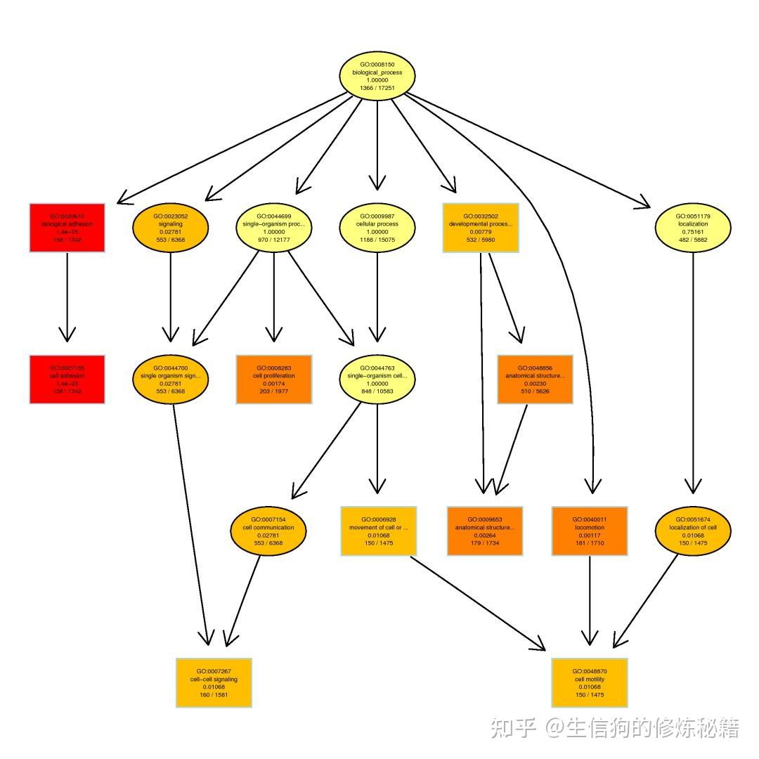 GO、KEGG富集分析(三)富集分析原理 - 知乎