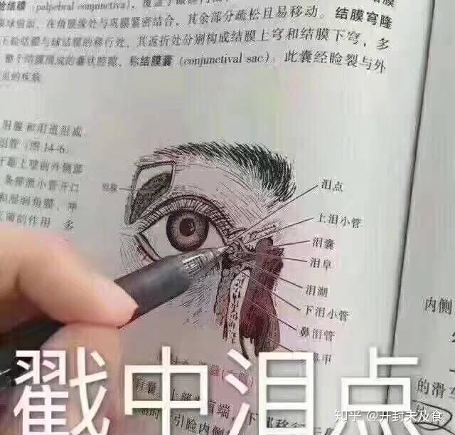v2-9c73451f2a3f8e9c306c1c3149f013ae_r.jpg