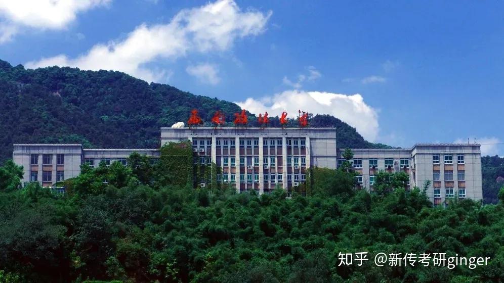 学硕706/专硕334采访实务场景:格尔木临时记者站,三九的漠河林场,8
