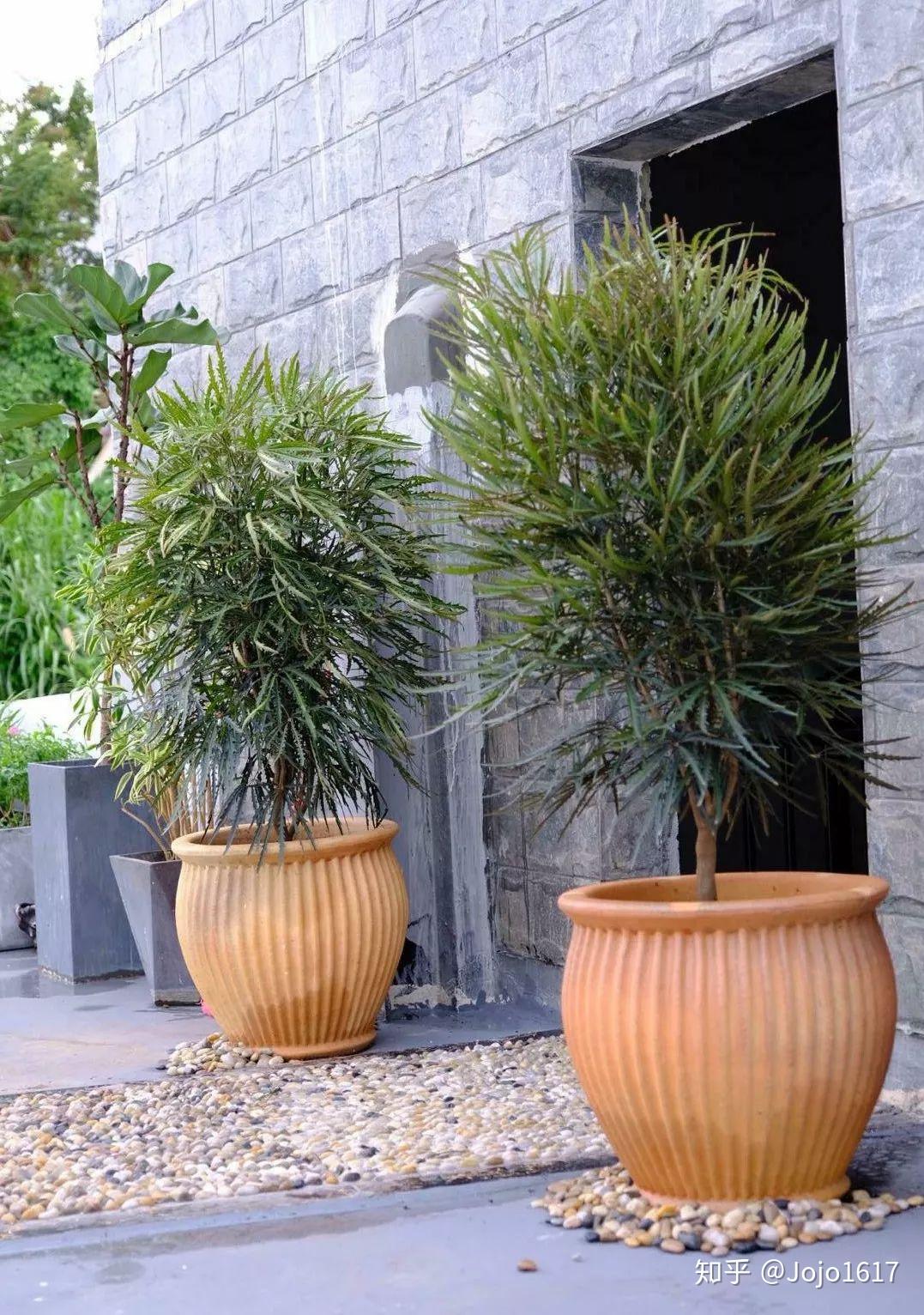 从无到有的楼顶天台绿植设计承载了太多美好