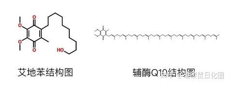 氧化界的王者——艾地苯醌 - 知乎