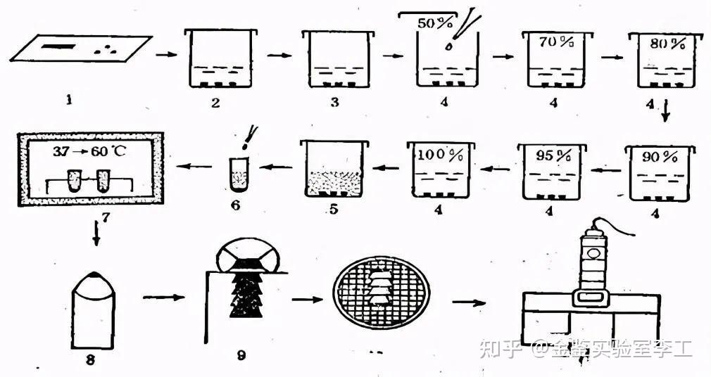 四大常见电镜制样方法简介：TEM、SEM、冷冻、金相 - 知乎
