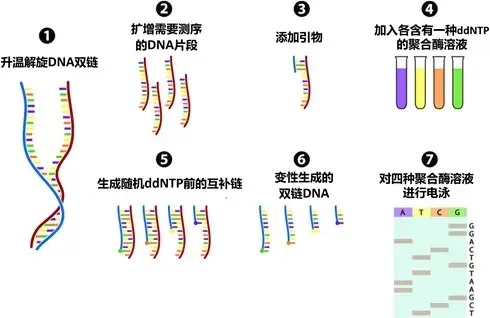 癌症检测系列之sanger测序–完整绘制人类基因图谱