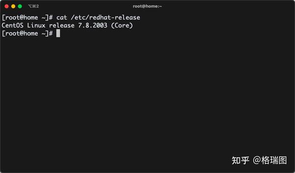 Linux docker 