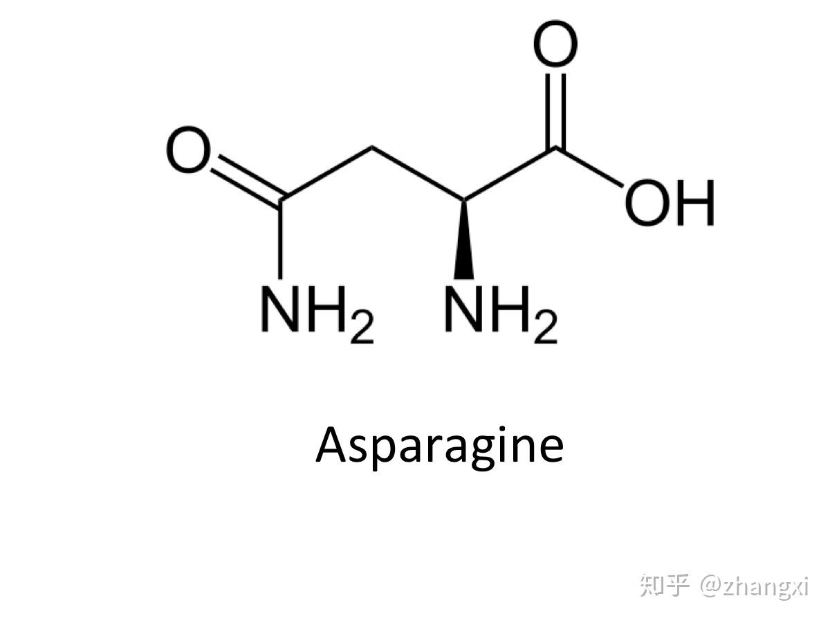 新型冠状病毒来源于哪里