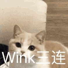 234_234gif 动态图 动图