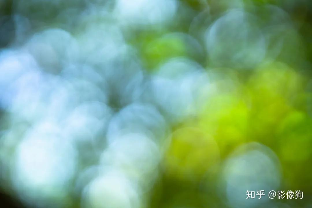 Sigma收購鏡頭