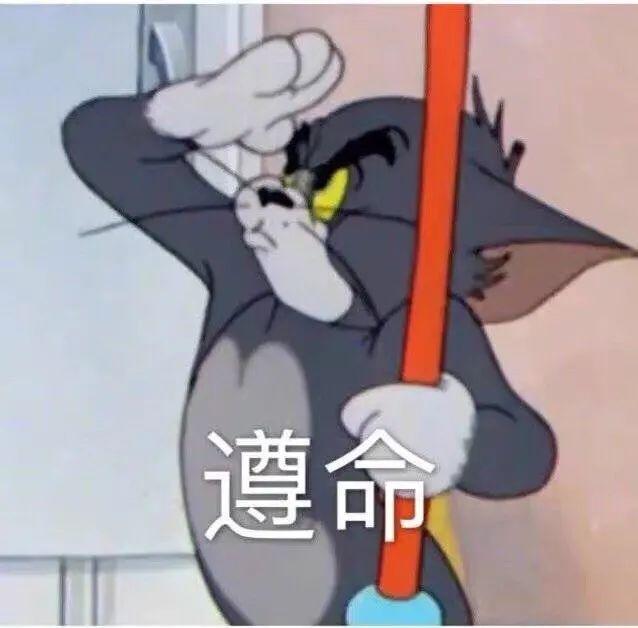 表情包猫和老鼠汤姆杰瑞系列②