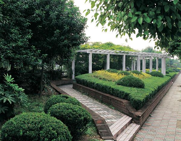 学校园林绿化景观这样设计人文交融寓教于乐