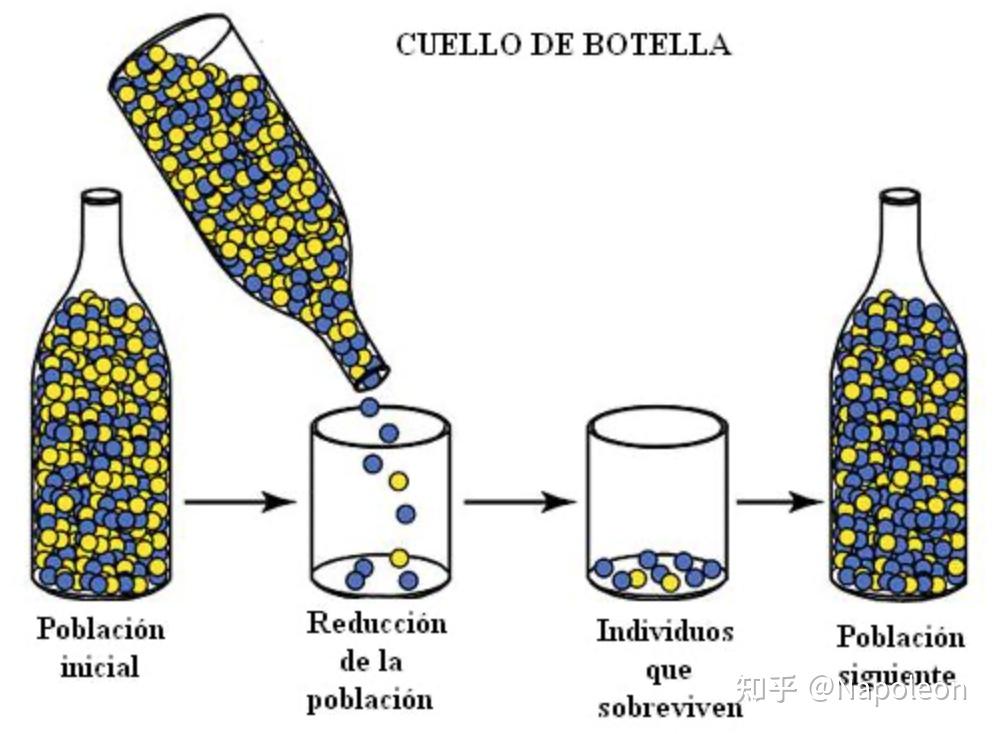 2019 nature文献笔记: exome sequencing of finnish isolates