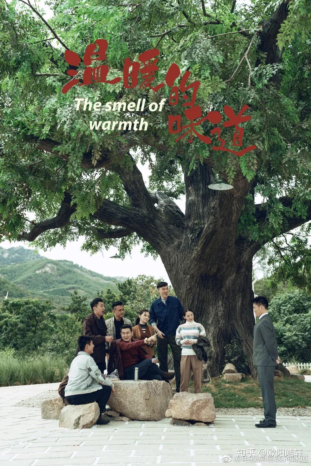 2020年全面建成小康社会,4部乡村题材电视剧有看头