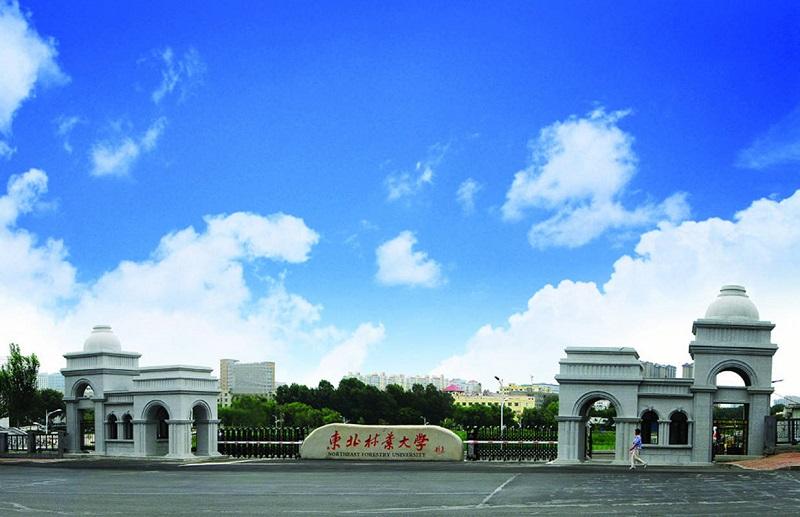【考研择校】东北林业大学2021年mpacc会计专硕录取分析 知乎