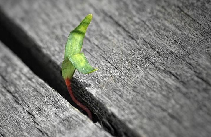 什么是缝隙市场？缝隙市场的特征、分类和案例介绍 - 知乎