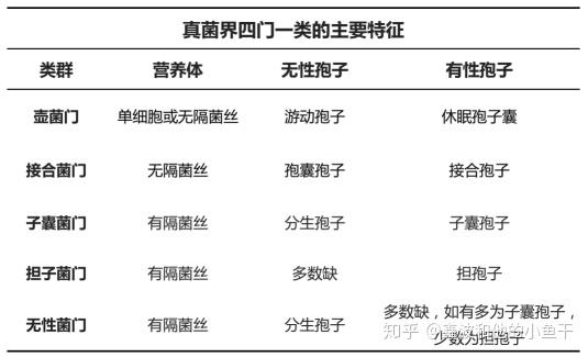 真菌亚门分类图片