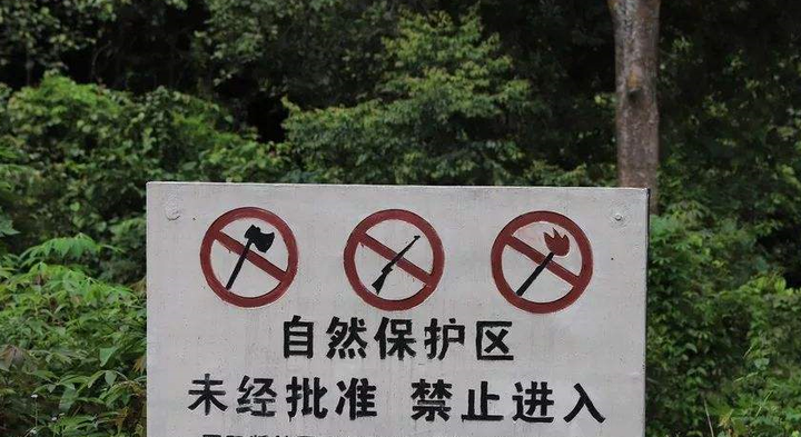 零基础想开始徒步旅行,需要做哪些准备? 5 v2 9d03dab2c3fa5a4e456896b2602215b8 720w