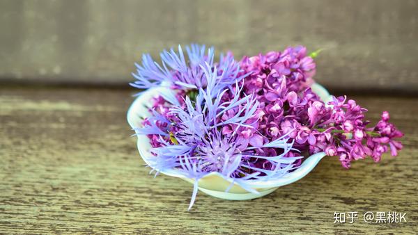 十一月份什么星座 男 11月19日是什么星座 十一月二十是什么星座