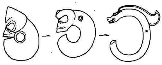 谈谈良渚文化里的玉琮从何而来