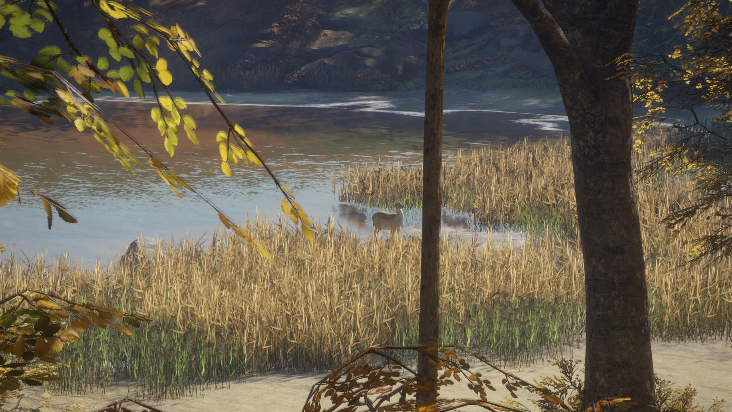 有哪些适合休闲玩家「养老」的网络游戏?