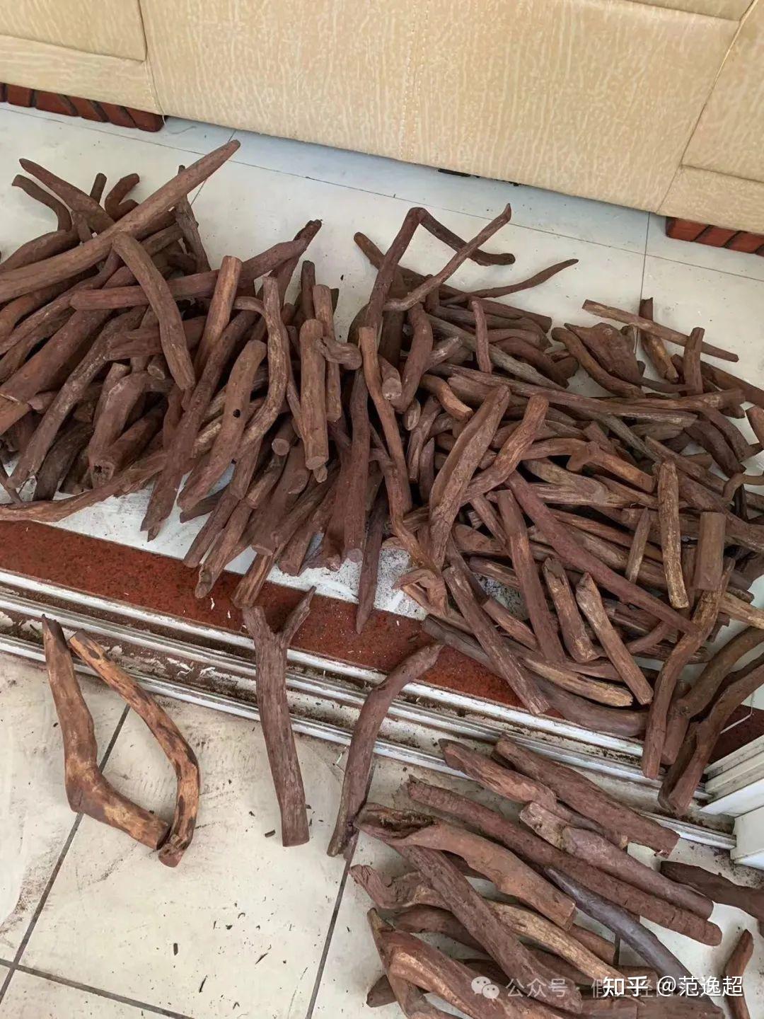 海南黄花梨一海南黄花梨认知3部位树根