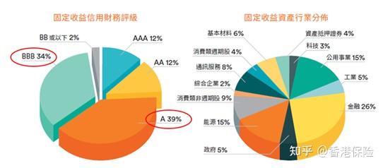 政府債券佔比5%,其他債券4%,股票和基金投資佔比26%,同樣固定資產投資