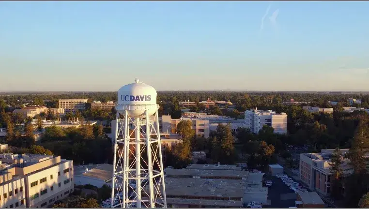 加州大学戴维斯分校开设本科商科专业!