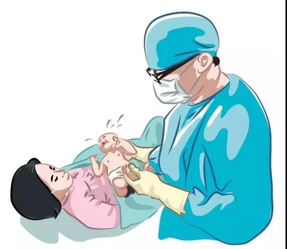 实践性较强的应用科学专业,培养的是能护理孕产妇和独立接生的助产士