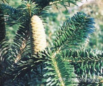 西藏自治区日喀则市下辖县:亚东县 - 知乎
