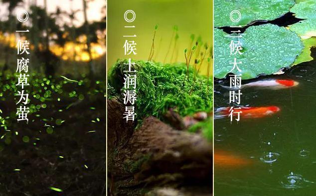 三候大雨时行|大暑前后常有雷雨会出现,大雨使暑湿减弱