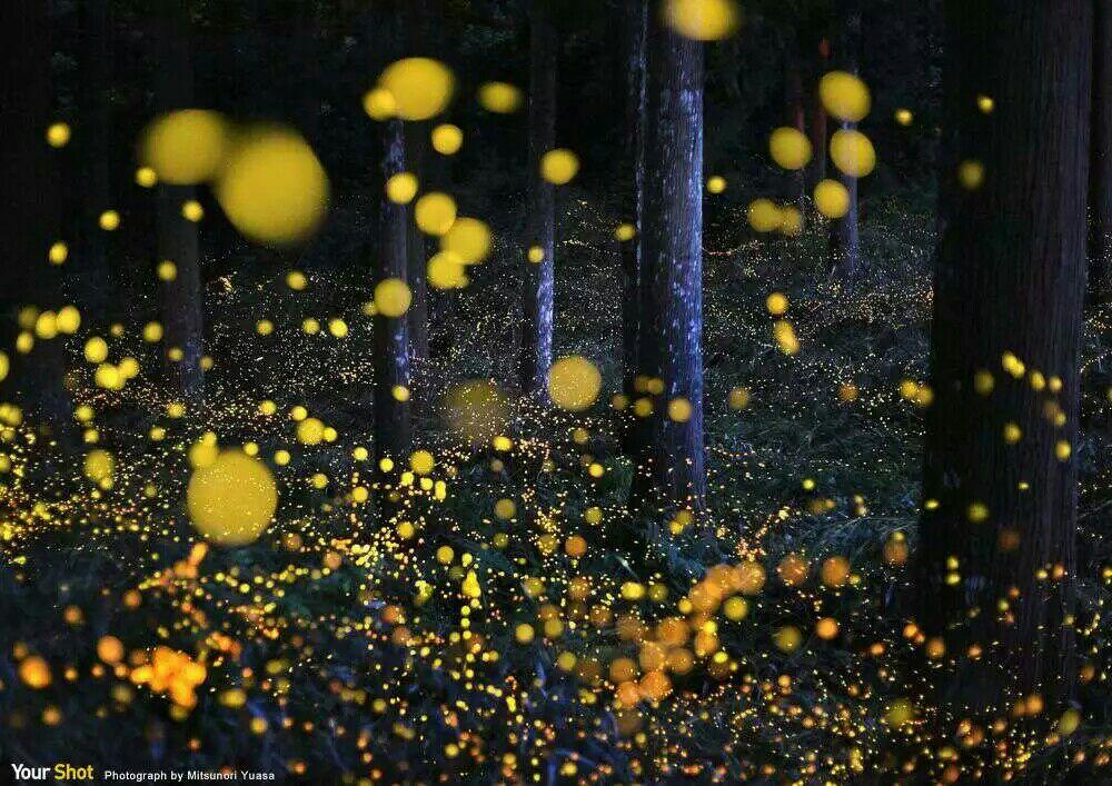 岁月隔人去,风尘可自如,偶然流泪处,翻着旧时书.