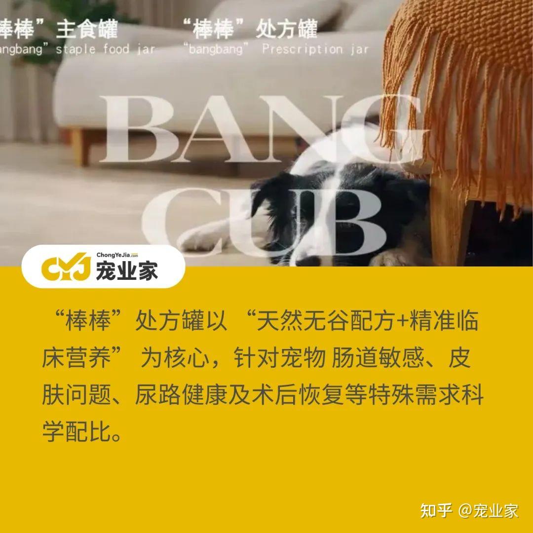 联邦制药入局宠物食品，联邦动保「BANG CUB」推出新西兰进口处方罐- 知乎