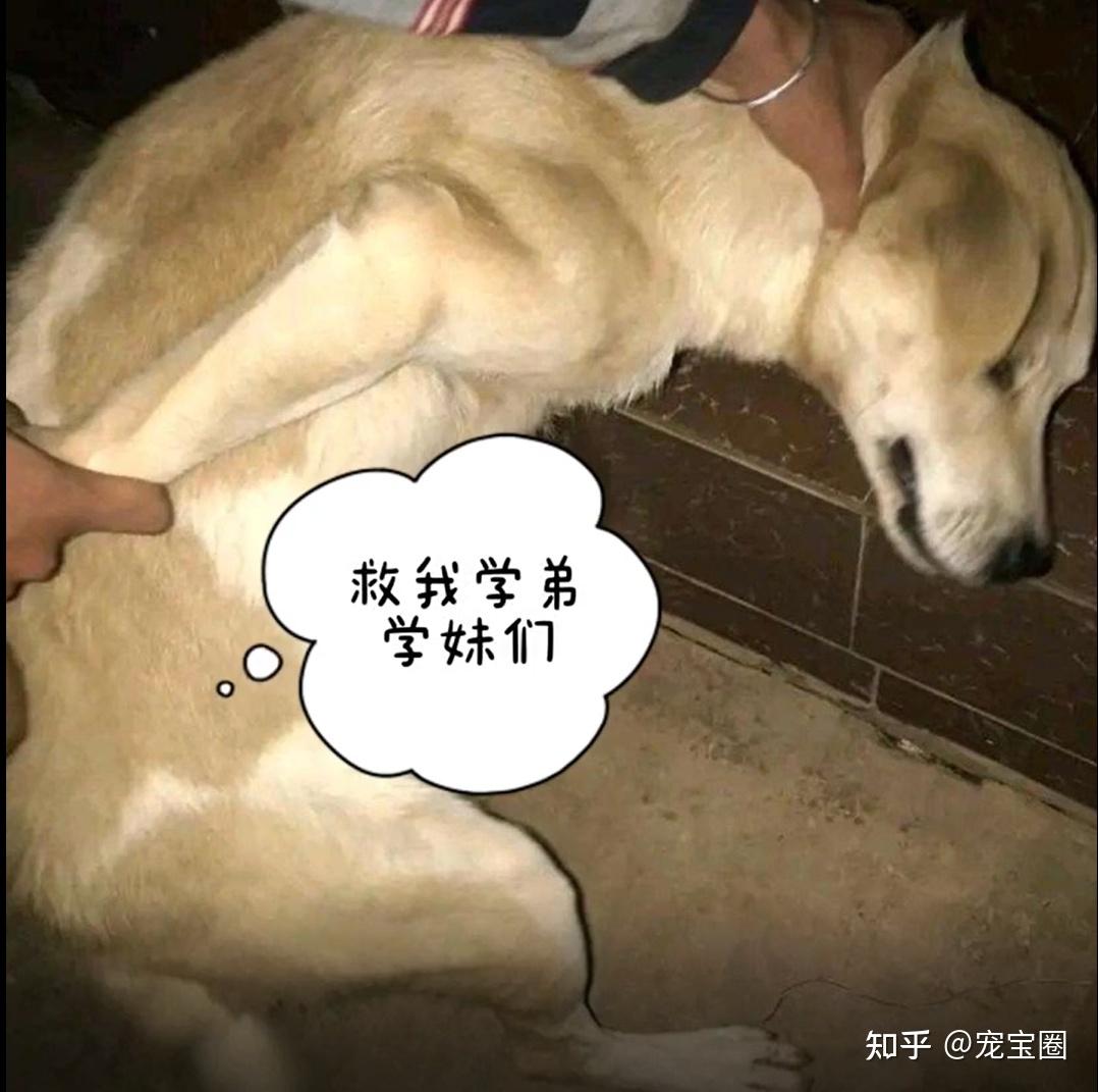 v2-9d5ad5de2f962d702c64aea1a7309f11_r.jpg