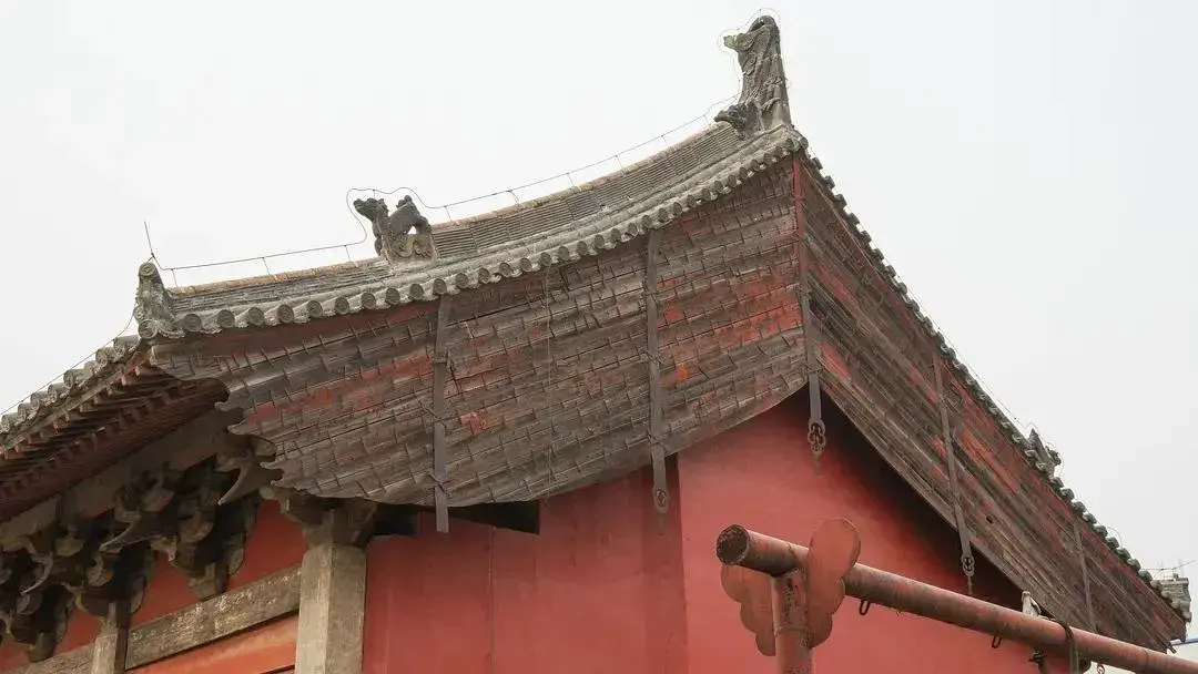 什么是悬鱼和惹草? - 知乎