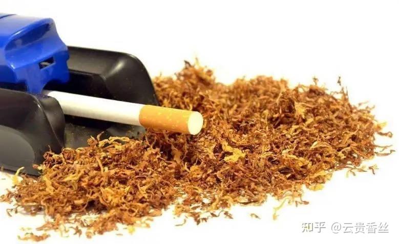 烟丝有哪些种类,该如何储存? - 知乎