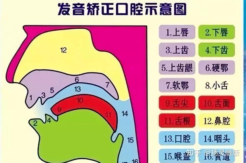 構音障礙訓練方法和構音器官運動練習