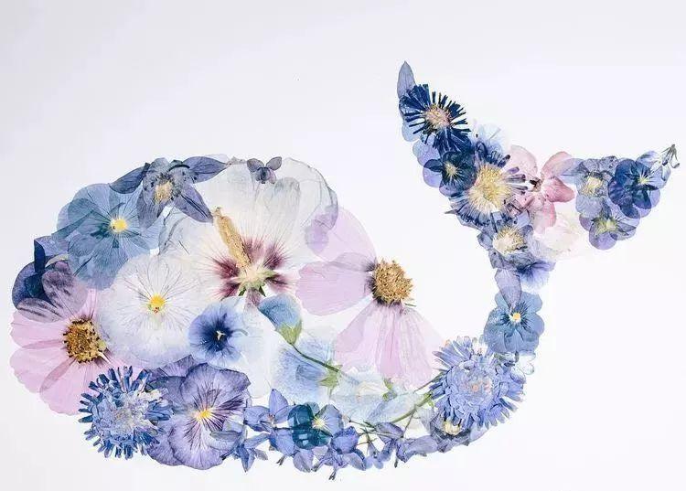 梦境般的“压花”艺术,让你无法抵御的植物美学 - 知乎