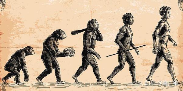 达尔文进化论是不是被推翻了
