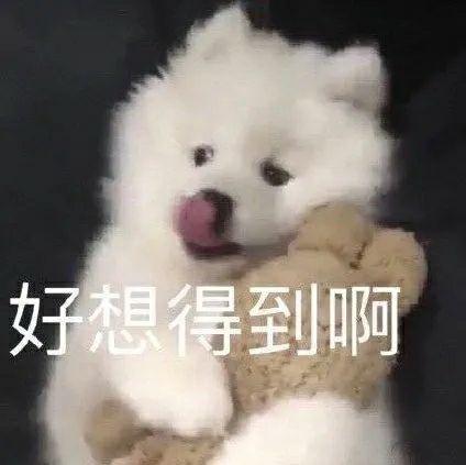 再分享一些狗狗表情包(›´ω`‹ ) - 知乎